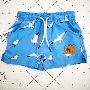 Bronte Australia Blue Seagull Print Swimsuit